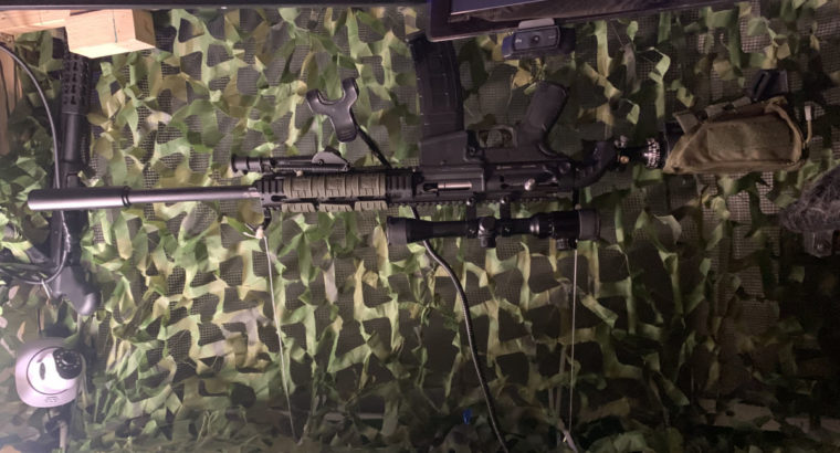 Rap4 dmr mit 8-10 Mags +Sniper Zielfernrohr +Zweibein