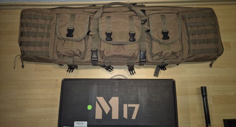 Milsig M17